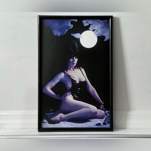 Elvira Mistress Of The Dark Poster